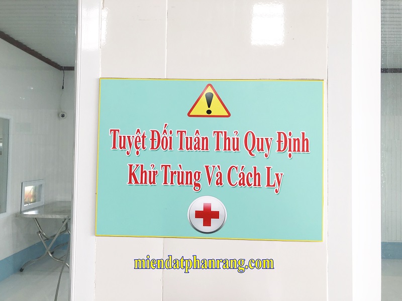 Mủ trôm cánh trắng